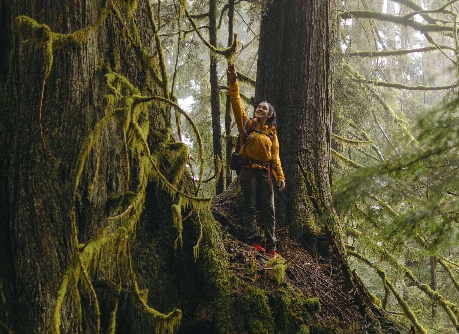  Gregory Packs - sustainable backpack